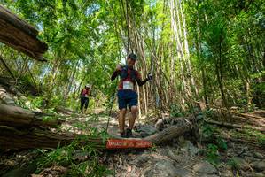 BIB: 
                            <button type="button" onclick="openModal(19394321)" class="btn btn-primary btn-sm float-right btn-popup" data-toggle="modal" data-target=".modal-high-quality">
                        <i class="fas fa-shopping-cart"></i> Add to Cart
                    </button>
                                            <button type="button" onclick="isThisMe(19394321, true)" class="btn btn-success btn-sm float-right btn-popup btn-isme hidden" data-toggle="tooltip" data-placement="bottom" title="นี่คือรูปของคุณใช่ไหม คลิกที่นี่เพื่อเอาเข้าอัลบั้ม">
                        <i class="fas fa-plus"></i> Add to album
                    </button>
                    <button type="button" onclick="isThisMe(19394321, false)" class="btn btn-warning btn-sm float-right btn-popup btn-isnotme hidden">
                        <i class="fas fa-ban"></i> Remove from album
                    </button>